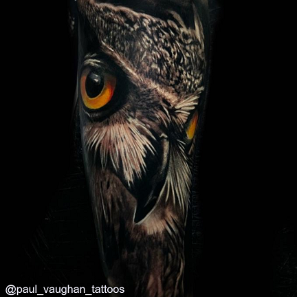 Owl 